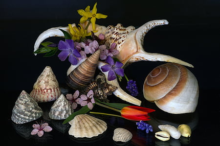still life, mussels, flowers, tulips