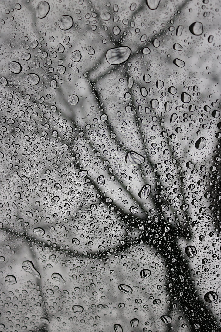 дъжд, капки, стъкло, дърво, вода, течност, природата