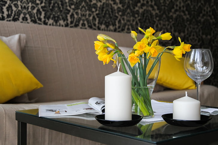 apartment, flowers, daffodils, room, house, residential interior, interior design