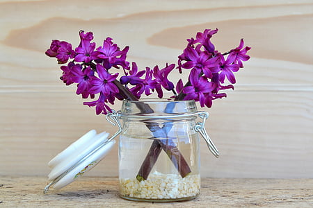 花, ヒヤシンス, 紫, jar, 装飾用ガラス, 花瓶, 木材