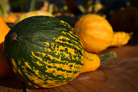 decorative squashes, pumpkins, yellow, beautiful, autumn, late summer, decoration