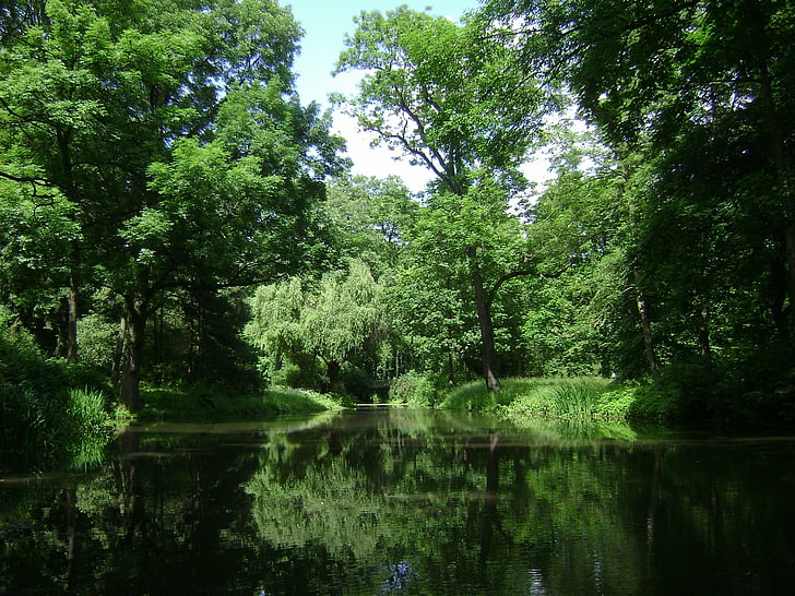 Warszawa, Polska, Park, lasu, drzewa, Woods, Jezioro