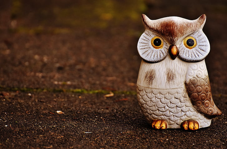 owl, bird, funny, ceramic, animal, cute, deco