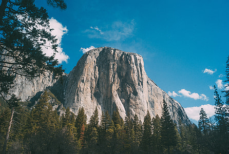 Yosemite, Parc, nature, national, Californie, voyage, Forest