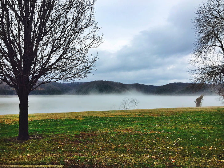 fog, lake, hills, tree, sky