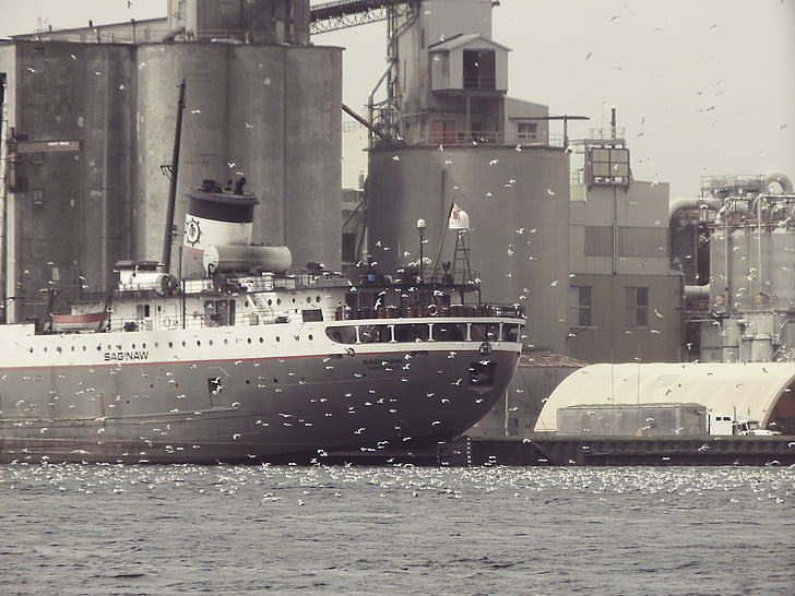 ship, grayscale, photography, birds, sea, water, sea water