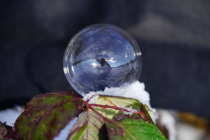 soap bubble, winter, ball, wintry, cold, frozen, frost