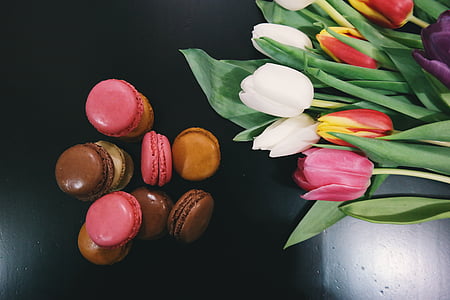 white, pink, tulips, flower, cookies, macaroons, dessert