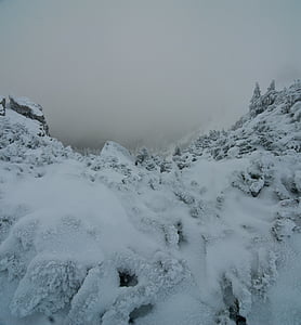 talvel, mägi, lumi, külm, valge, Frost, külmutatud