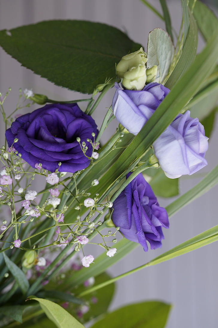 ungu, bunga, Blossom, mekar, karangan bunga, meriah, ungu