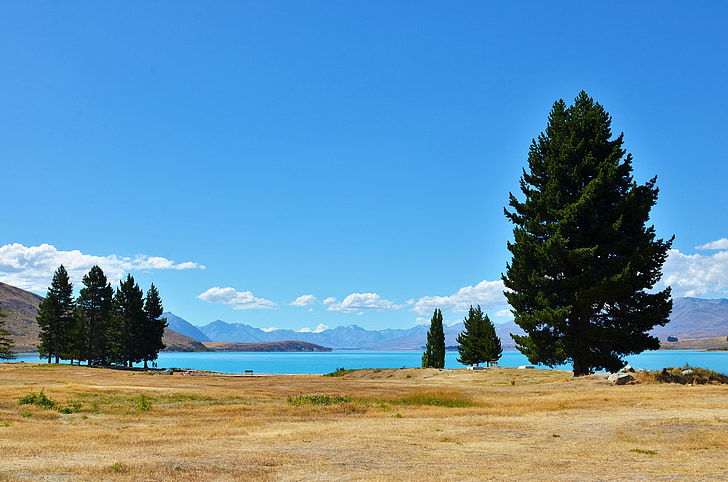 Serenity, Lakefront, träd, Nya Zeeland