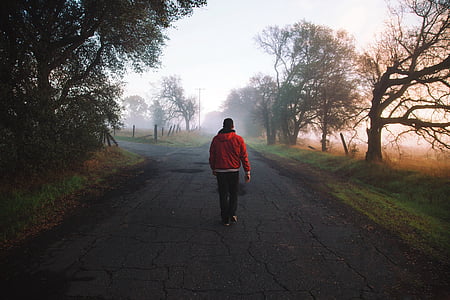 uomo, nebbia, natura, persona, strada, a piedi
