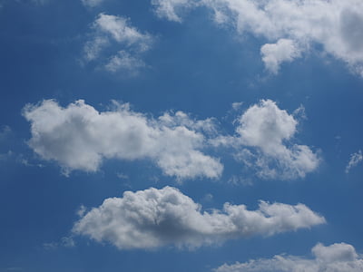 스카이, 구름, 블루, 구름 모양, 하얀, 적 운 구름
