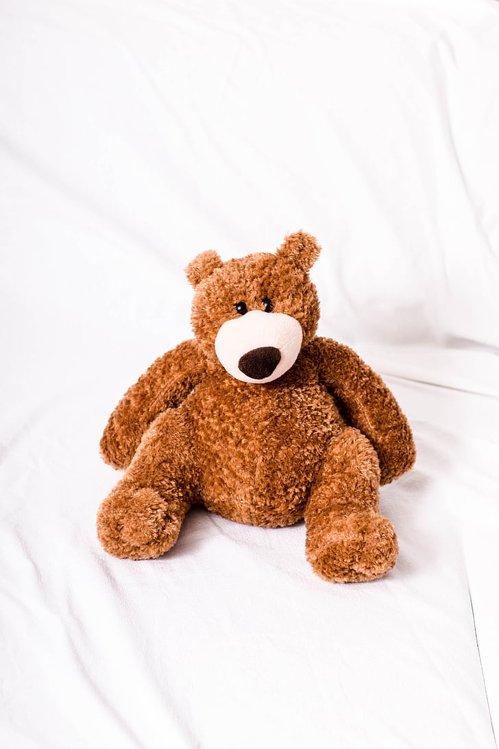 Tedijs, Teddy bear, lācis, mīksto rotaļlietu, mīkstās rotaļlietas, dzīvnieka izbāzeni, lāči