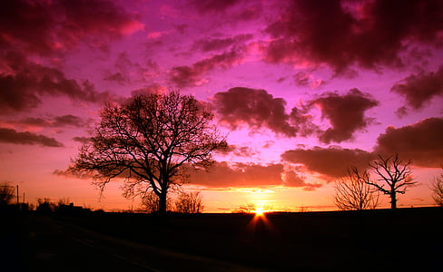 zachód słońca, niebo, Natura, drzewo, Wschód słońca, odkryty, pomarańczowy