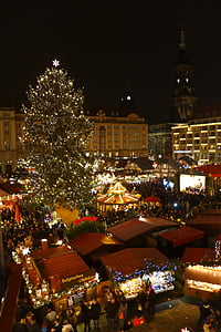 Mercatino di Natale, Dresda, Germania, albero di Natale, le luci, notte, città