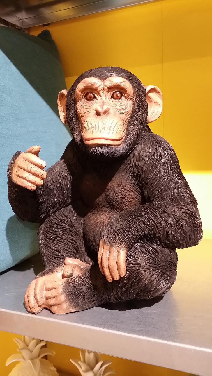 ape on shelving, animal, shopping, purchasing, shopping cart, food, happy