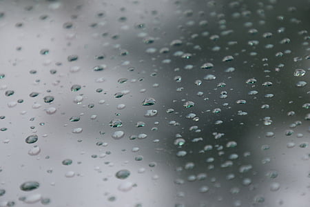 หยด, ฝน, แมตต์, บานหน้าต่าง, ฤดูใบไม้ร่วง