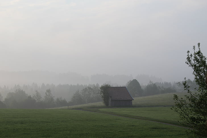 Tyskland, dimma, dimma, natursköna, Bayern, morgon, fältet