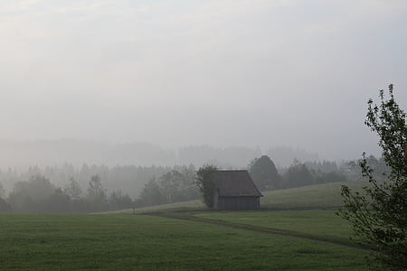 Alemanha, nevoeiro, névoa, cênica, Baviera, manhã, campo