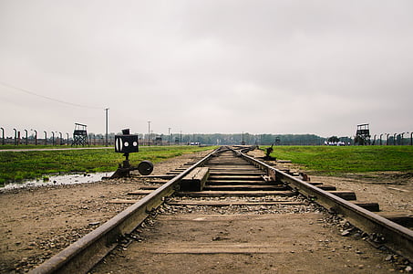 Auschwitz, Birkenau, järnväg, tåg, Förintelsen, Polen, järnvägsspår