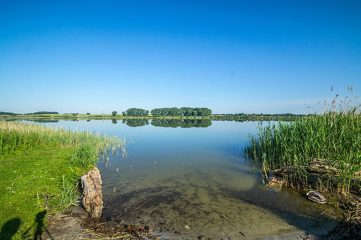 lake, water, sky, bank, blue, reed, landscape
