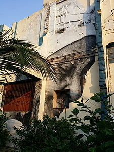 Havana, Küba, sokak sanatı, duvar resmi, Karayipler, mimari, sokak
