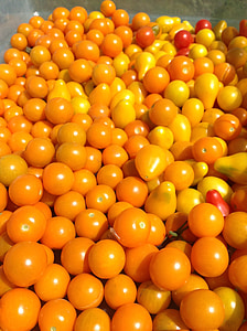 Tomaten, Essen, Leben auf dem Bauernhof, Orange, Gemüse