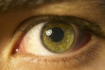 眼睛, 绿色, 学生, 虹膜, 选项卡, 视网膜, 眼睛
