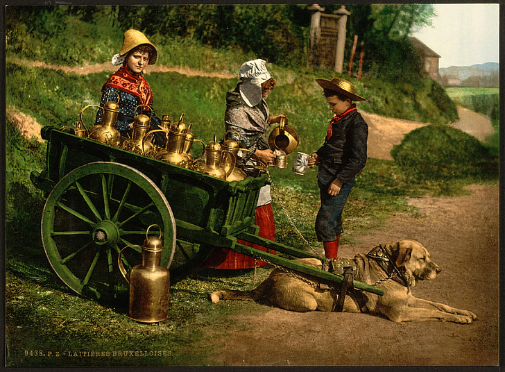 mlieko predávajúci, osoba, chlapec, žena, staré, dogcart, Vintage