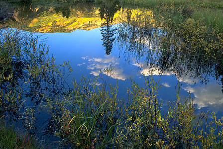 reflexió, l'aigua, tardor, escèniques, tardor, Colorado, Zen