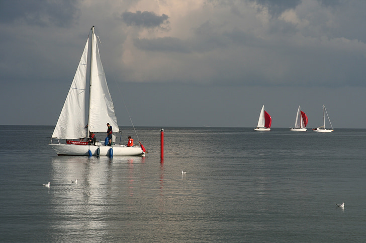 gdańsk, baltic sea, sea, sailing boats, poland