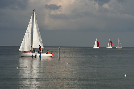 Gdańsk, Mar Báltico, mar, barcos de vela, Polonia
