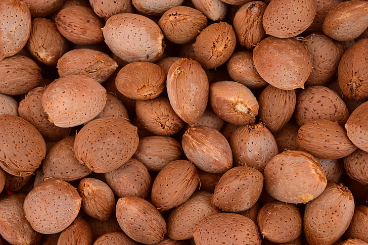 almonds, background, frisch, healthy, fresh almonds, food, delicious