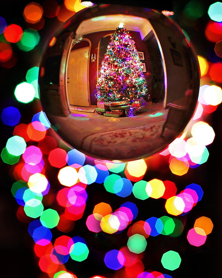 crystal ball, christmas tree, xmas, ornament, holiday, decoration, night