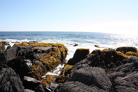 oceano, rocce, Costa, Terranova, roccia, di fuori, natura