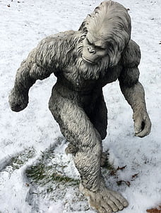bigfoot, sasquatch, yeti, abominable snowman, skunk ape, almas, yowie