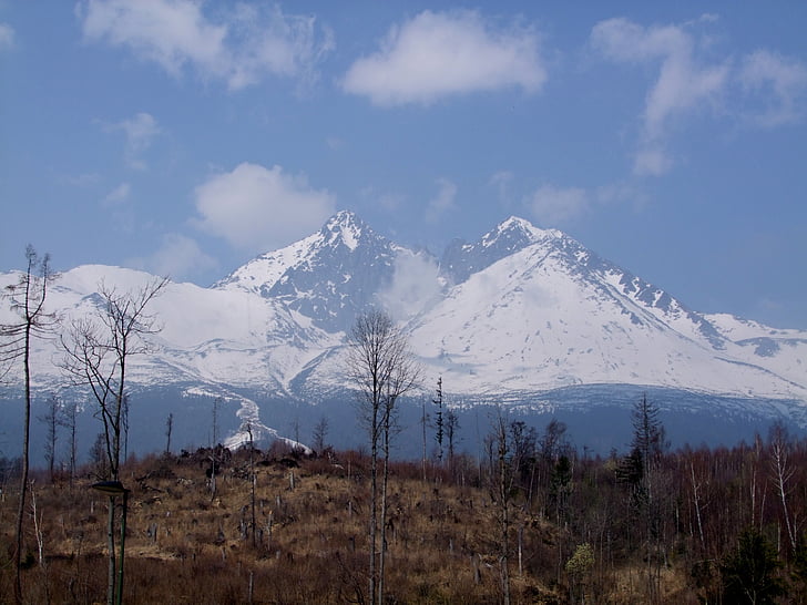 Tatras, pegunungan, hutan, pemandangan, alam, awan, batu