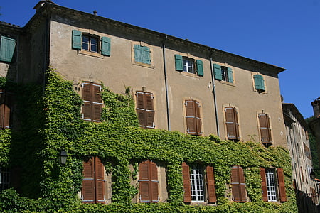 home, ivy, south of france
