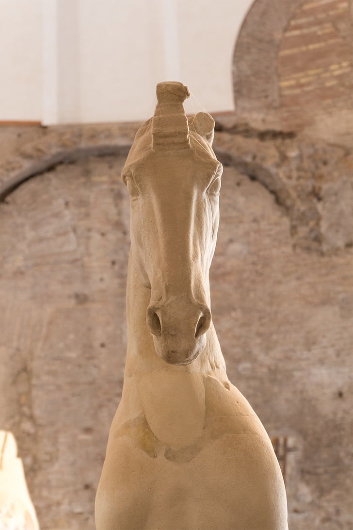 horse, statue, rome, italy, marble, antique, stature