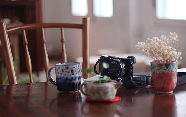 mug, cup, blur, table, chair, flower, display