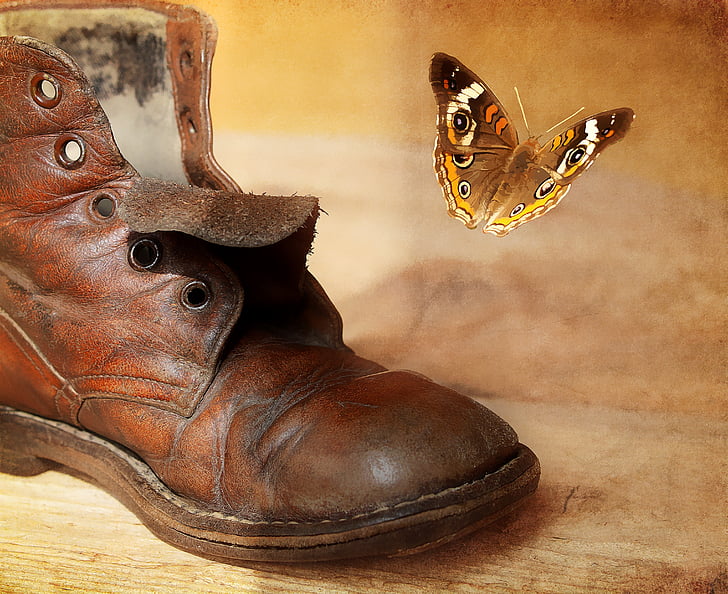 sko, gamle, antik, læder, lædersko, sommerfugl, maleri