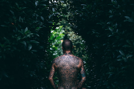 topless, man, staande, groen, blad, plant, Tattoo