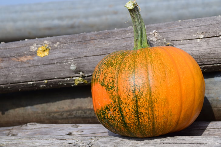 pumpkin, wood, autumn, red, yellow, gourd, straw