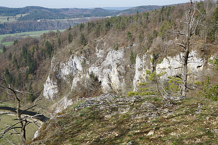 Donau-vallei, Donau, bos, rivier, Rock