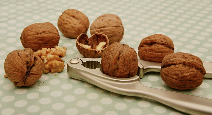 valnötter, Nötknäpparen, fruktskål, nötter, spricka, öppna, nutshells