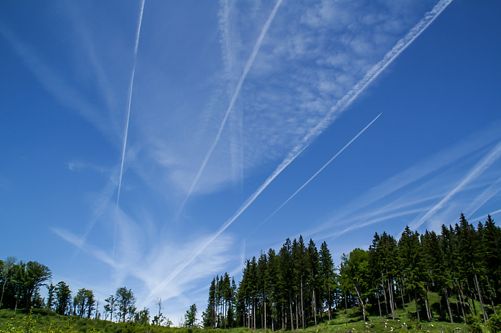 nature, forest, sky, clouds, aircraft trails
