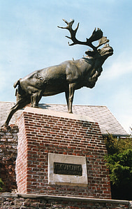 纪念碑, 鹿, monchy-乐勇, 纽芬兰省, 北美驯鹿, 纪念, 伟大的战争