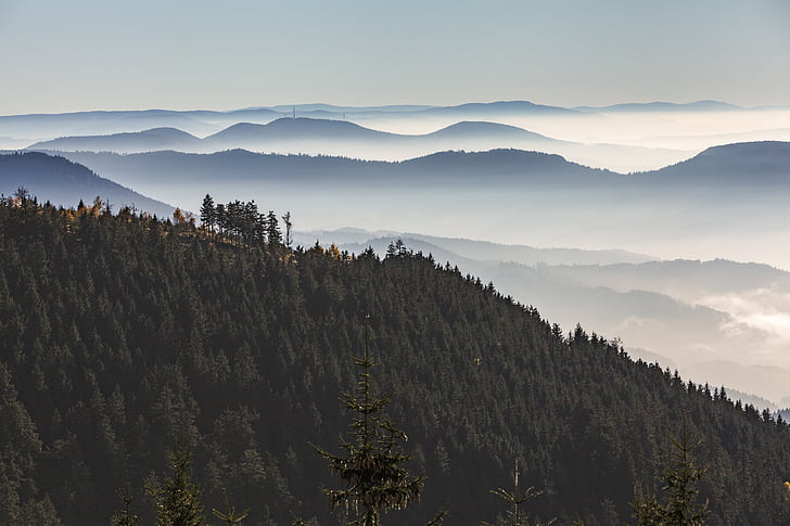 black forest, grinding head, panorama, clouds