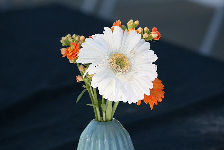 buket, vase, dekoration, hvid, blomst, blomstermotiver, arrangement